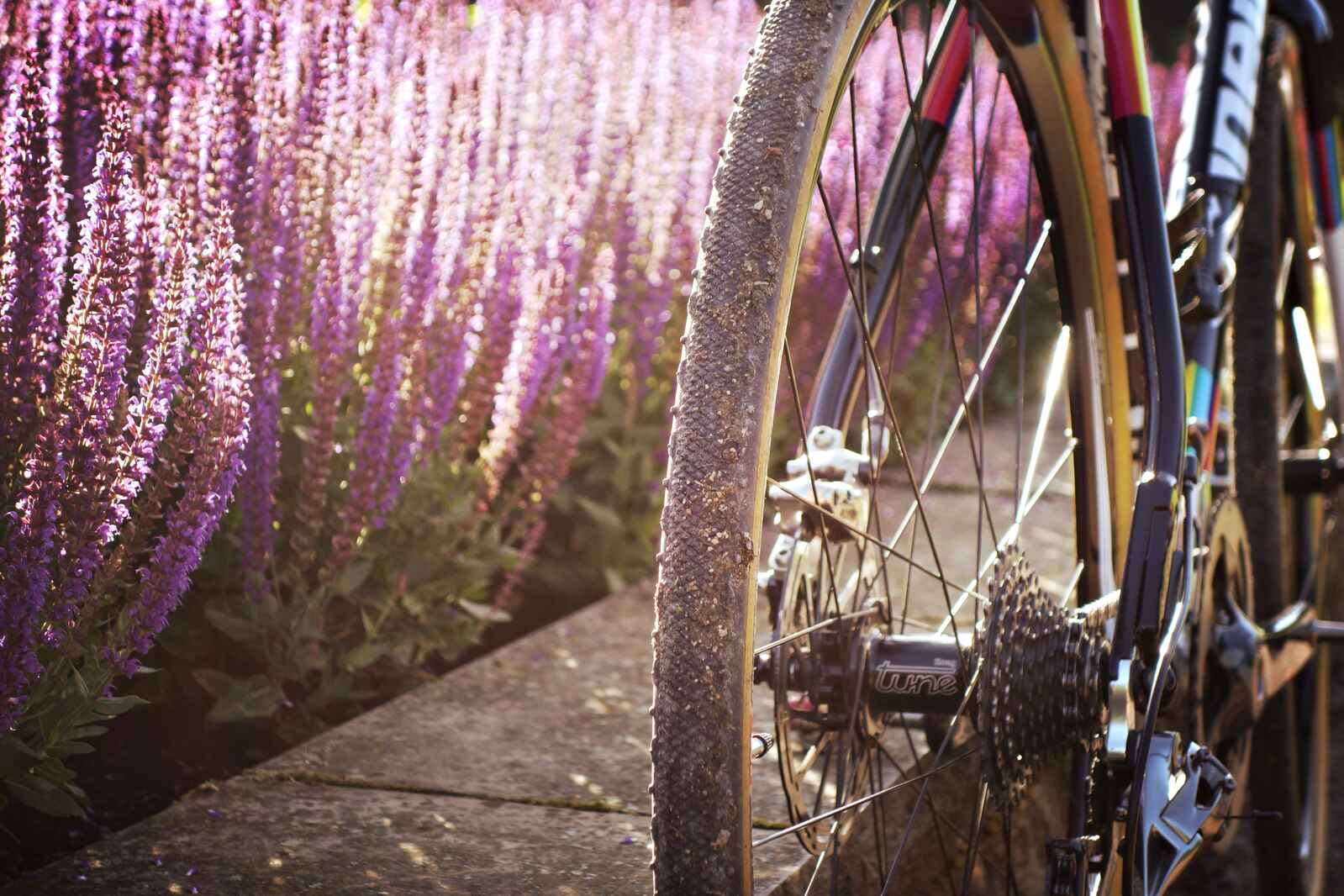 How to Fix a Popped Tire on a Bike