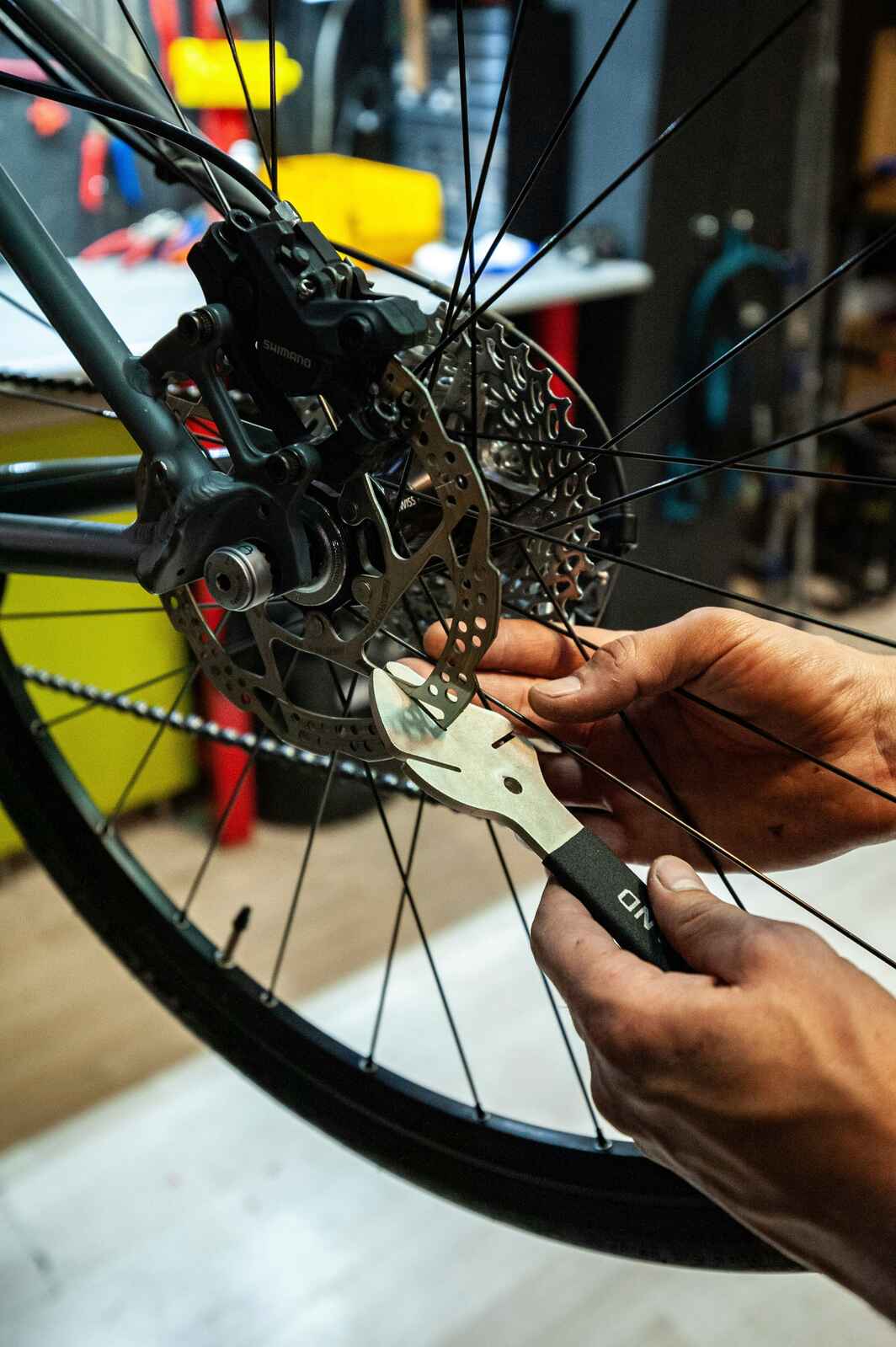 Bicycle Service Near Me