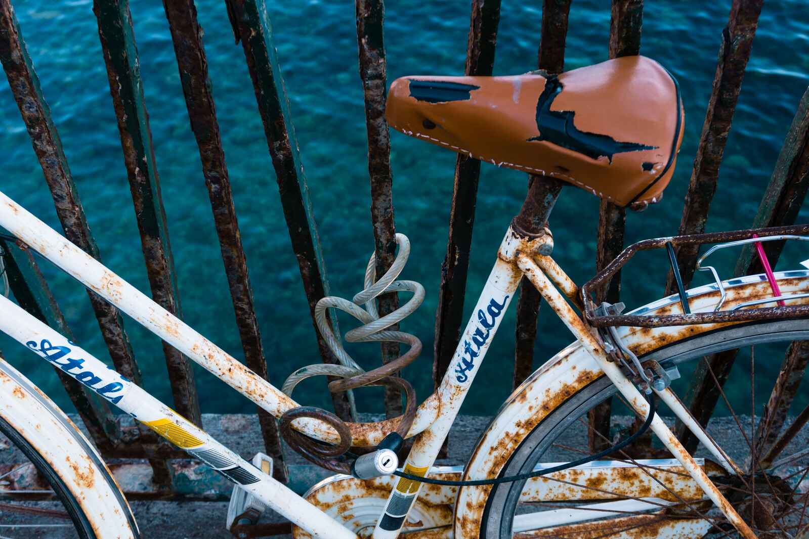 How to Fix a Rusted Bike